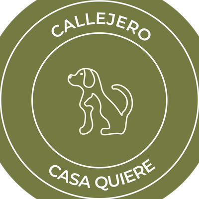 ONG - Toda vida importa