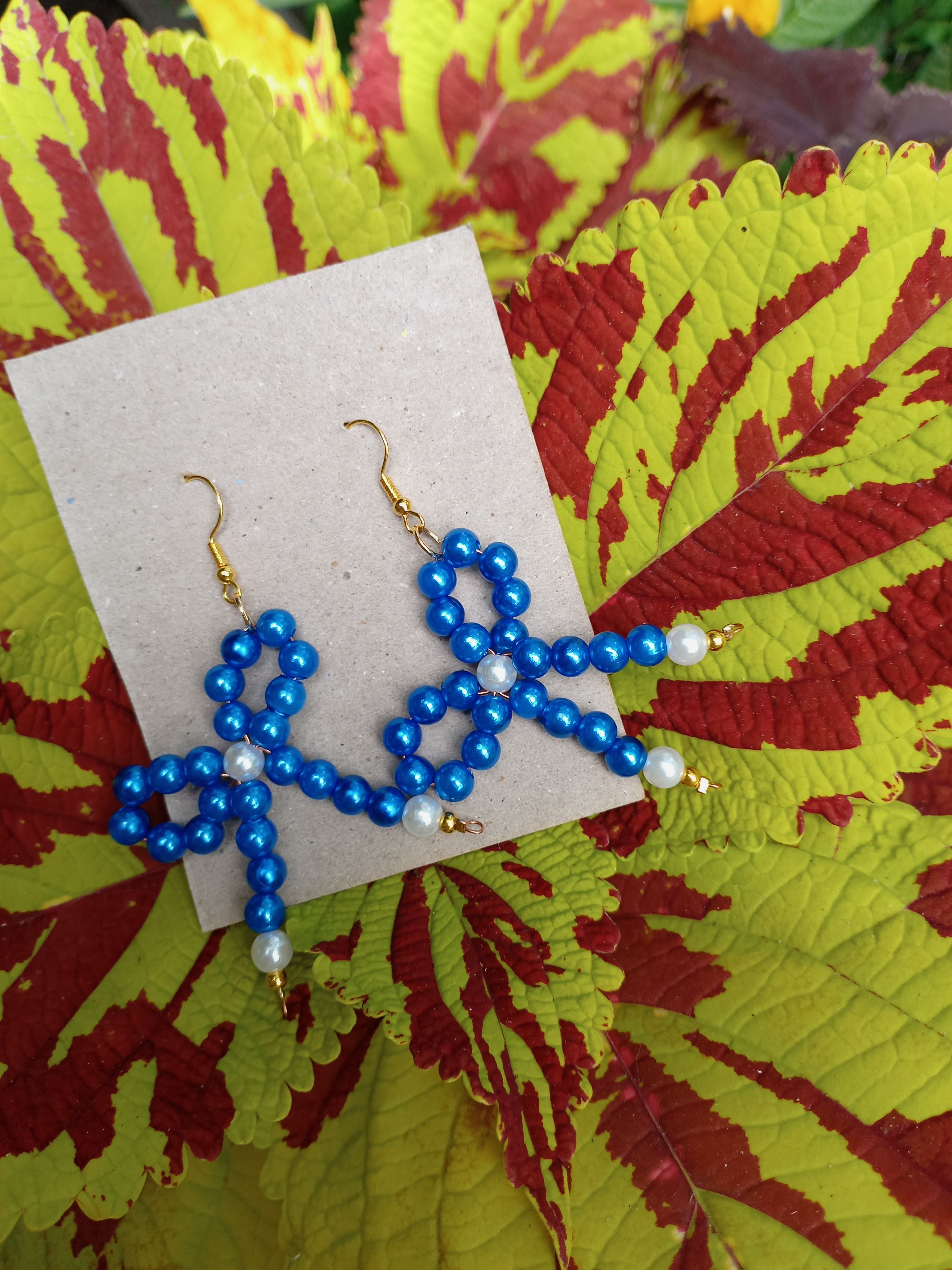 Aretes de Lacito 💙